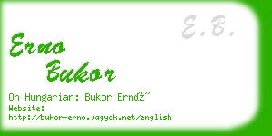 erno bukor business card